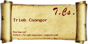 Trieb Csongor névjegykártya